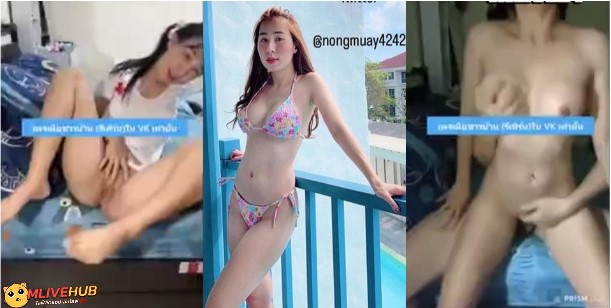 คลิปหลุด Mlive @NONGMUAY4242 น้องหมวย ไลฟ์สดเย็ดสดกับพี่เทพโชว์เสียวเปิดไลฟ์มาเปิดหีโชว์ยั่วยูสก่อนแก้ผ้าโม๊คควยพี่เทพ ขึ้นขย่มควยเย็ดสดครางเสียวจับซอยหีรัวๆน้ำแตก